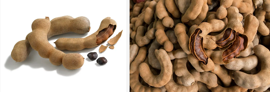 Tamarind Extract Powder.png